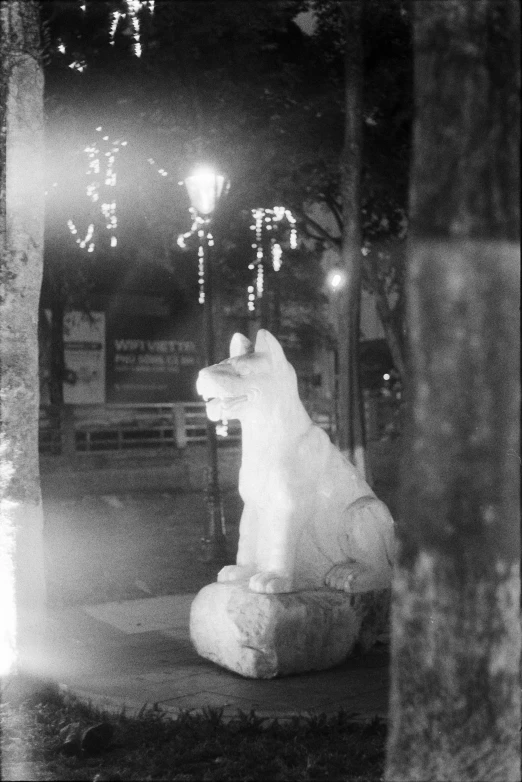 a white polar bear statue outside during night