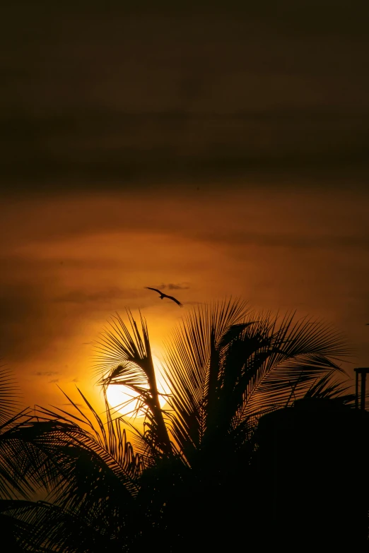 a sunset that looks like soing in the sky