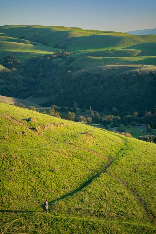 a person standing on a hillside of grass