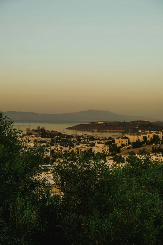 a city overlooking a large body of water