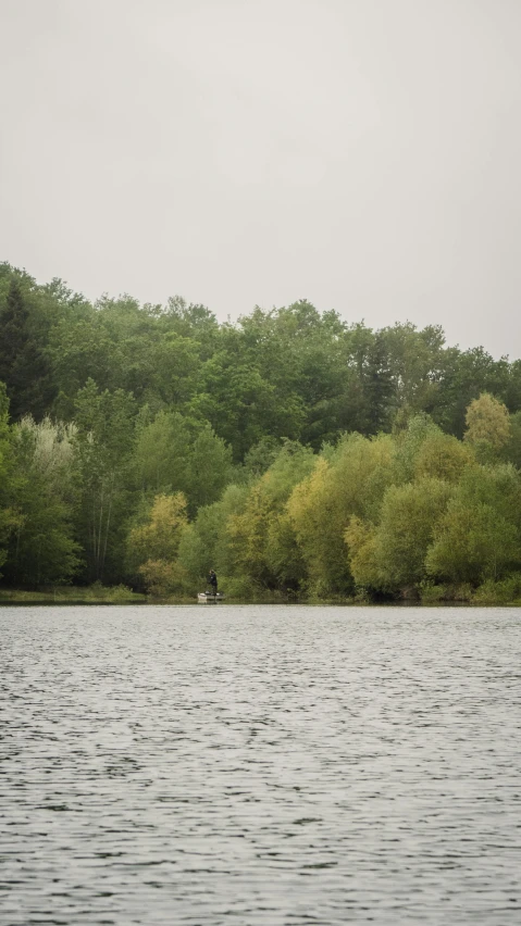 the body of water is surrounded by lots of trees