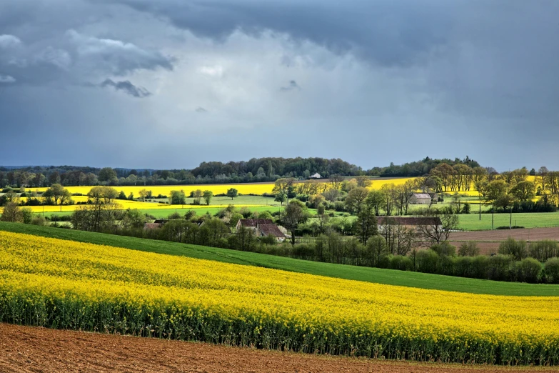 a green field next to a farm with trees in the background