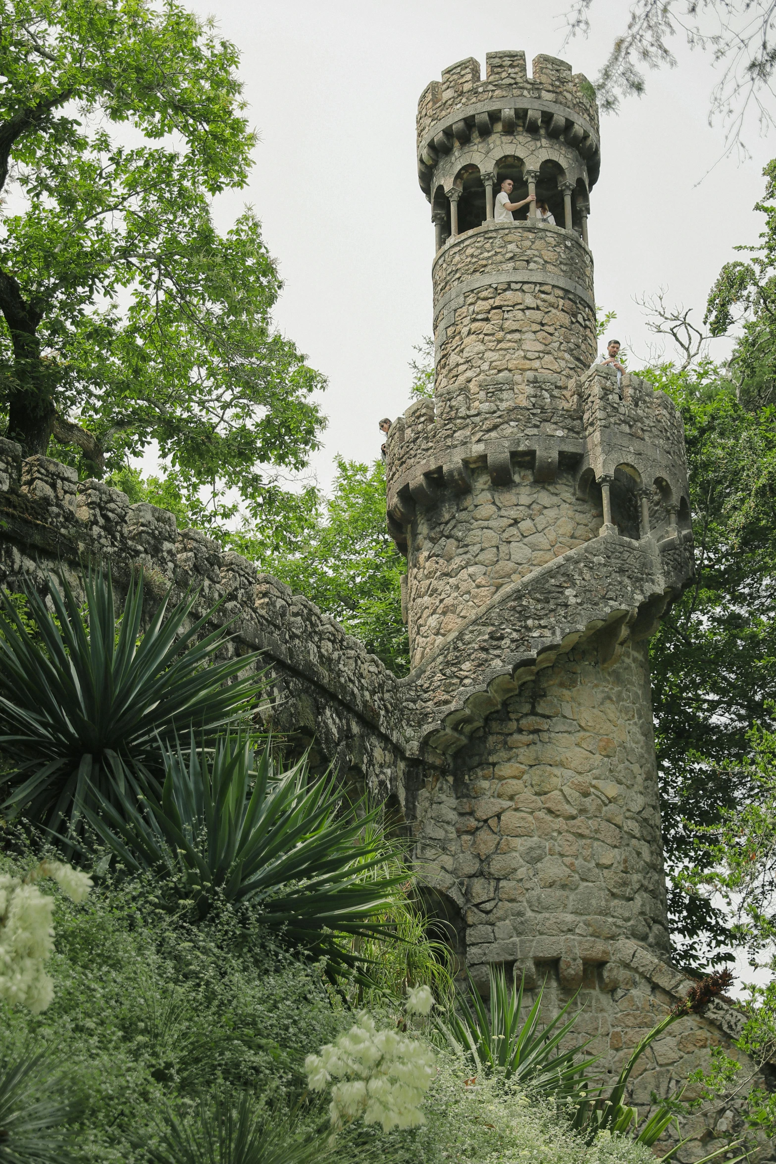 a very old looking tower sitting in the woods