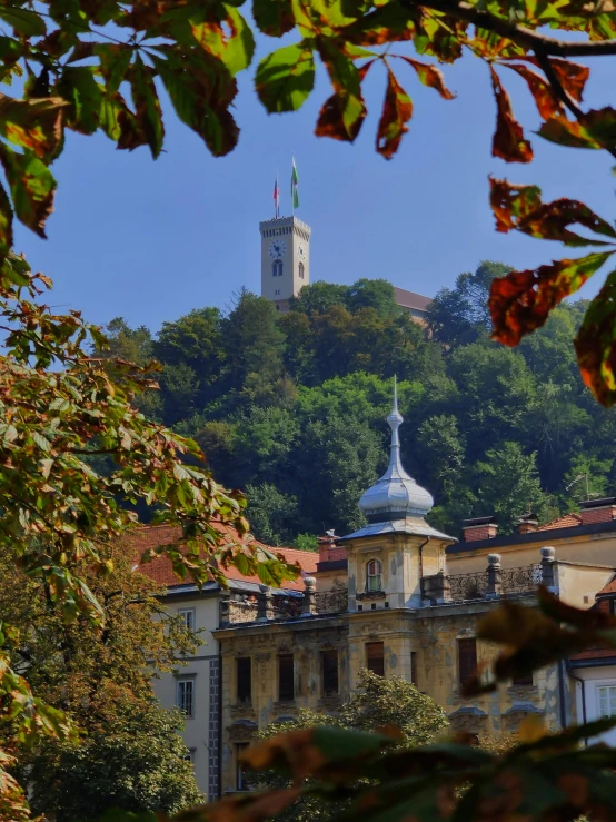 a building near a forest that has a steeple on it