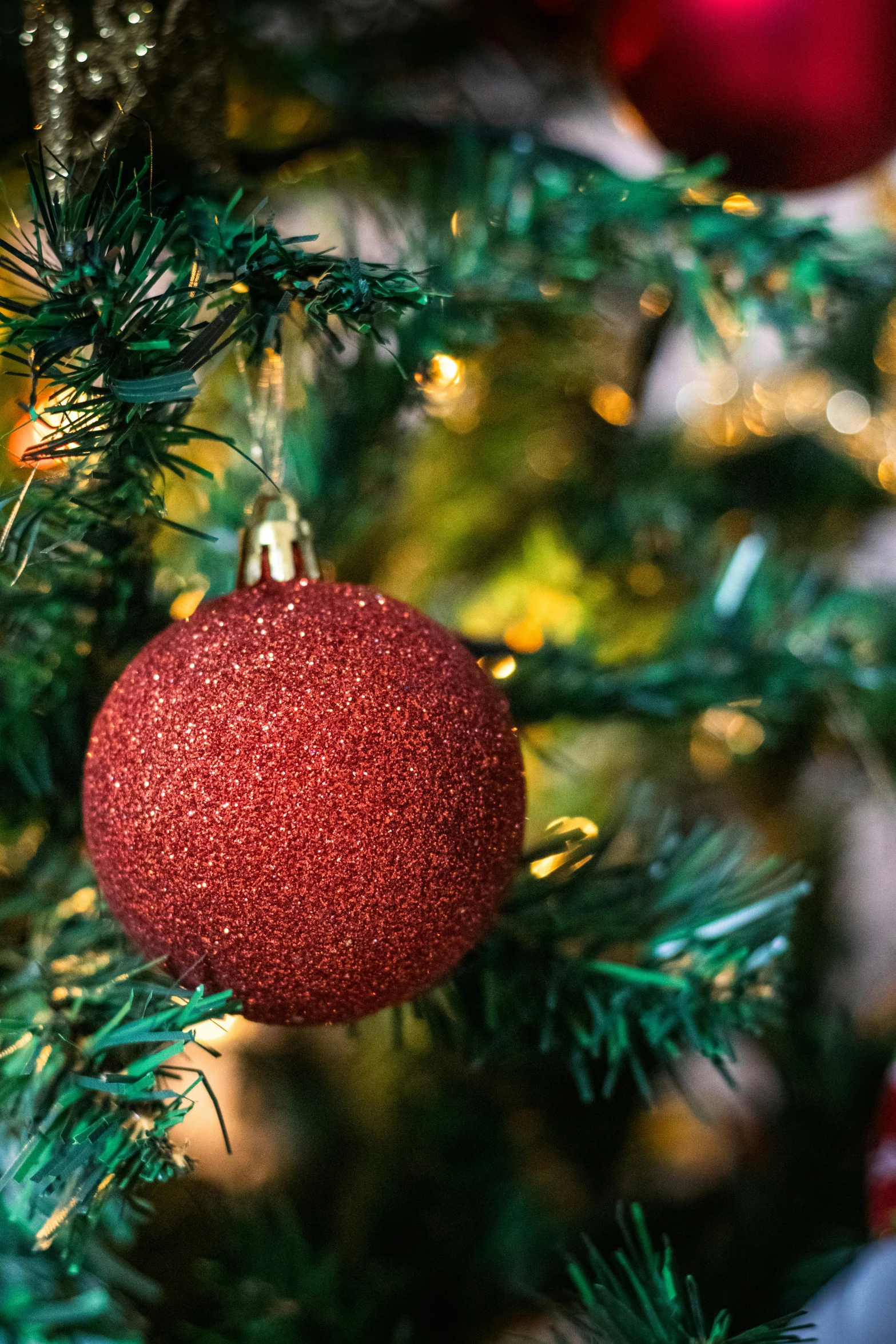 the christmas ornament is hanging from a tree