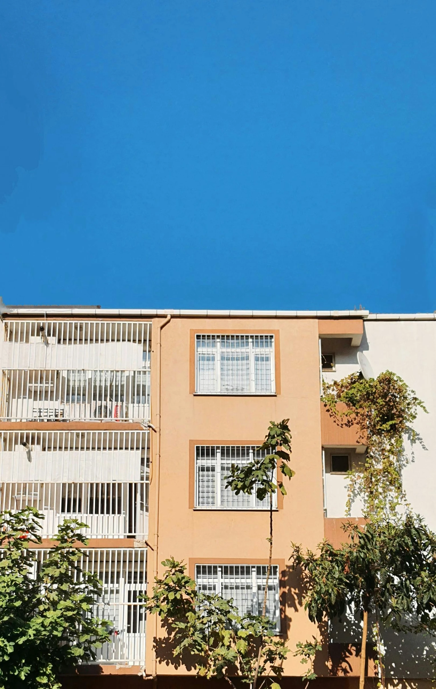 two buildings with balconies on one side and trees in the other