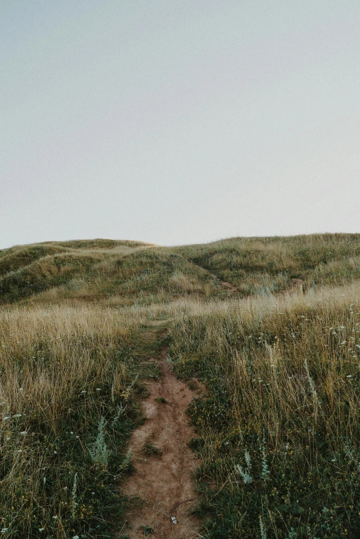 an image of a hill with a path going down it