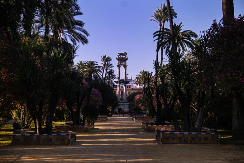 a bunch of trees line the pathway leading to a building