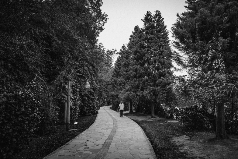 a woman walking down the road towards the trees