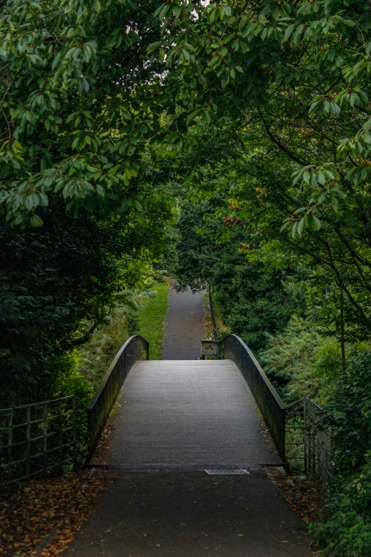 a pathway with trees on both sides leading to the park