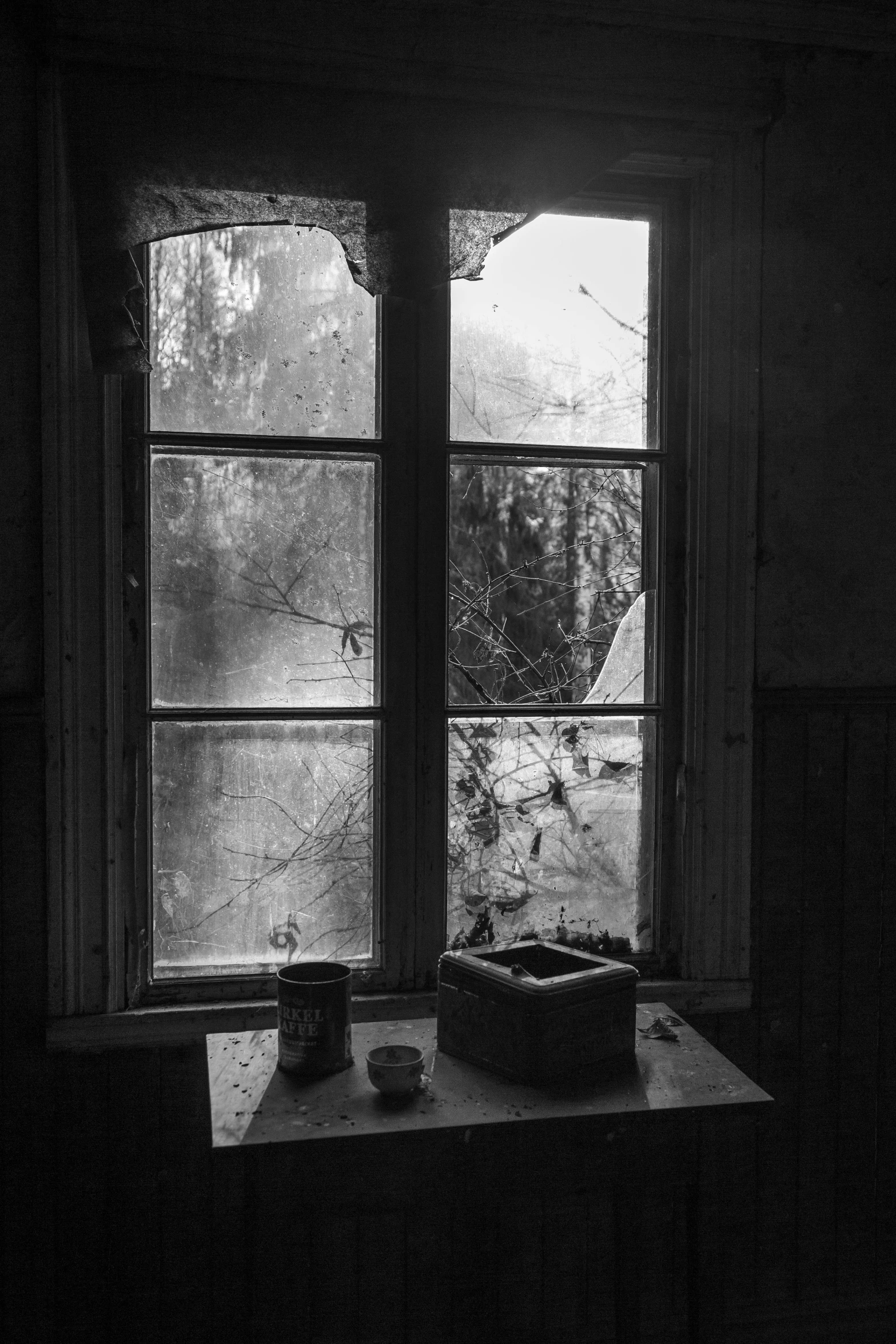 a view from the kitchen of a window looking out at a garden