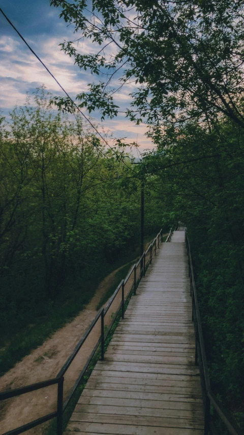 a bridge with railings leading to a forest