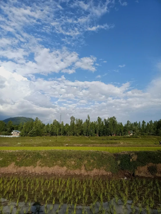 there is a large open field near a fence