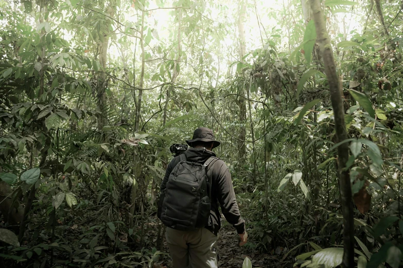 a man with a backpack and hat walks through a lush green jungle