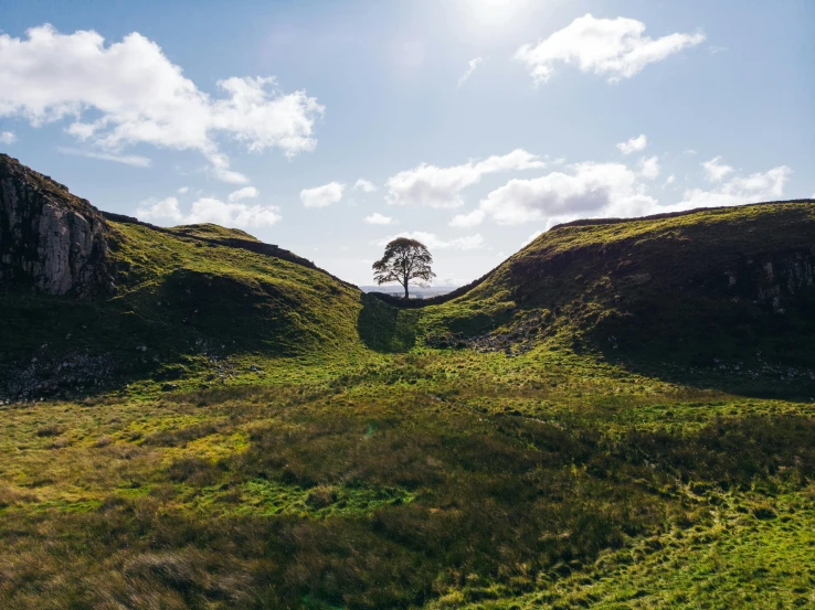 a single tree on top of a hill under a blue sky