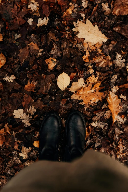 someone standing next to a patch of leafy ground