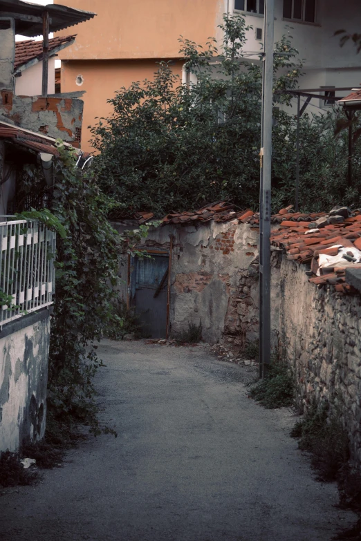 an alley with crumbling, old buildings and plants in the foreground