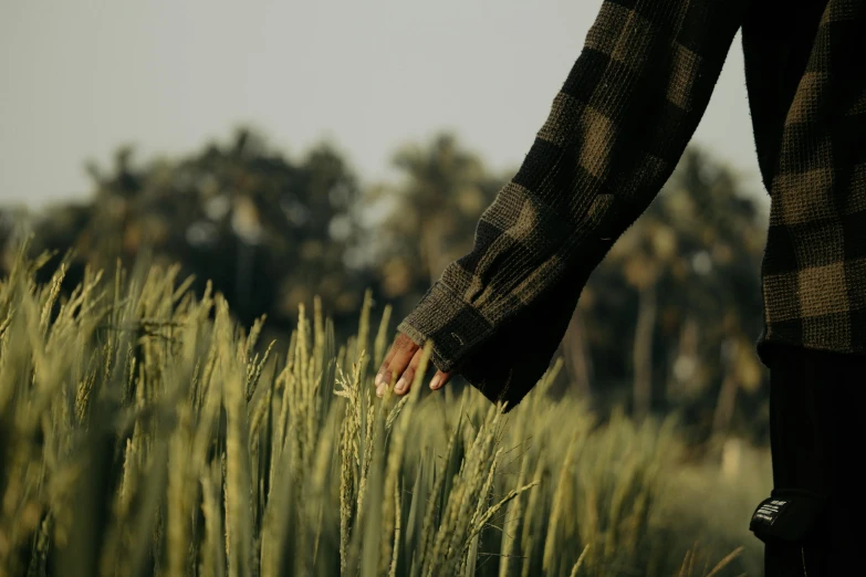the person with their hand near tall grass