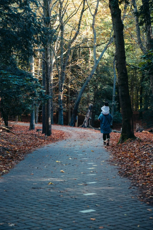 a person walking down a sidewalk in a park with leaves on the ground