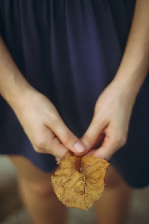 a person holding onto a leaf that is dead