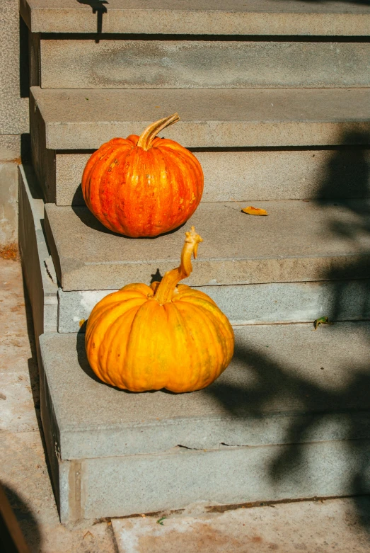 two pumpkins sitting on steps, one with an odd shaped tail