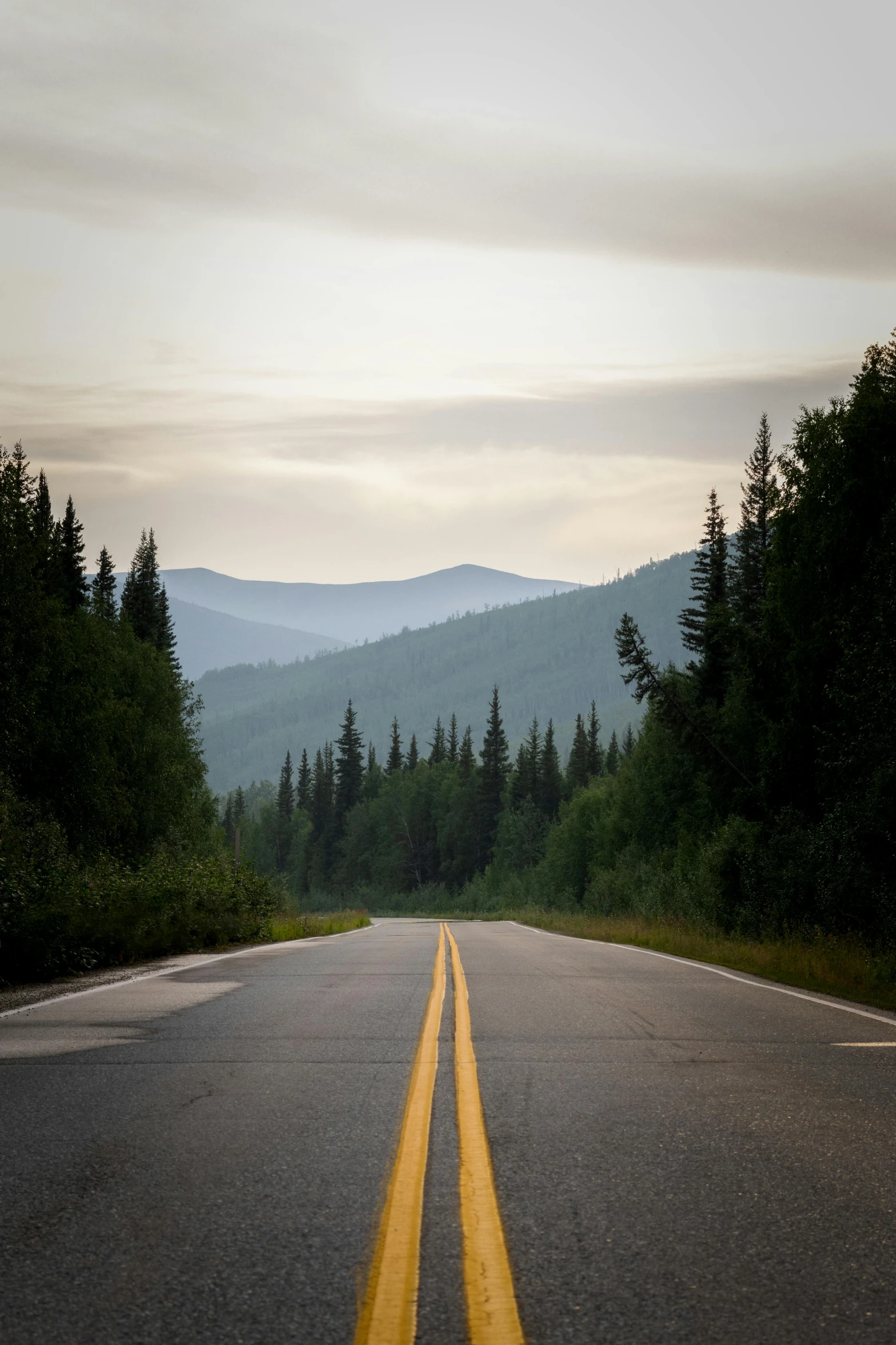 a view down a street with a road going into the forest