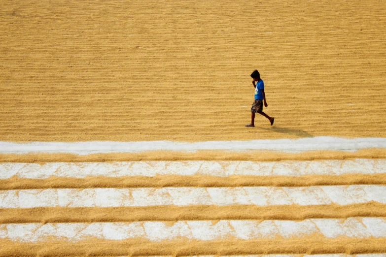 a person walks down a large farm field