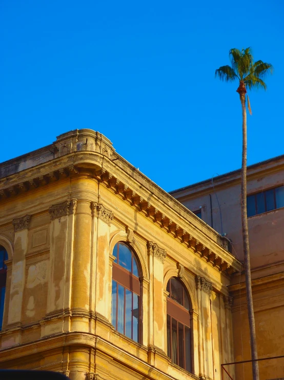 palm tree on the corner of a tall yellow building