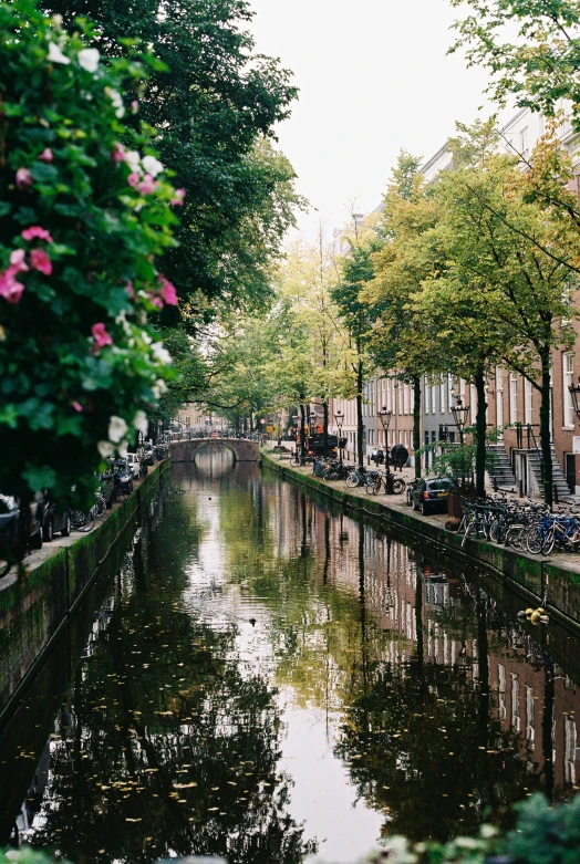 a small canal runs through an old city