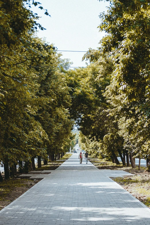 two people walk down the path between some trees