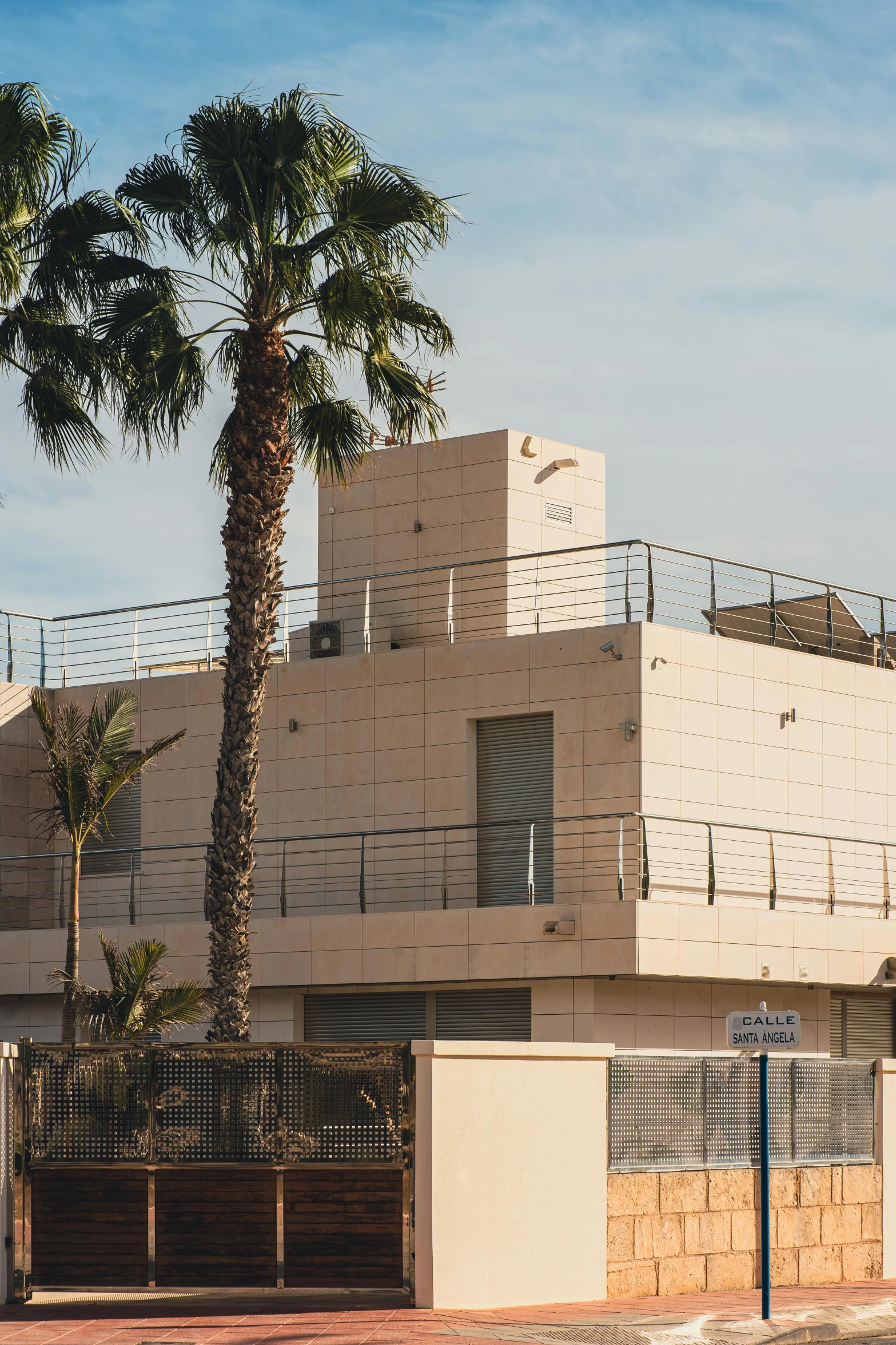 a palm tree is next to a beige building