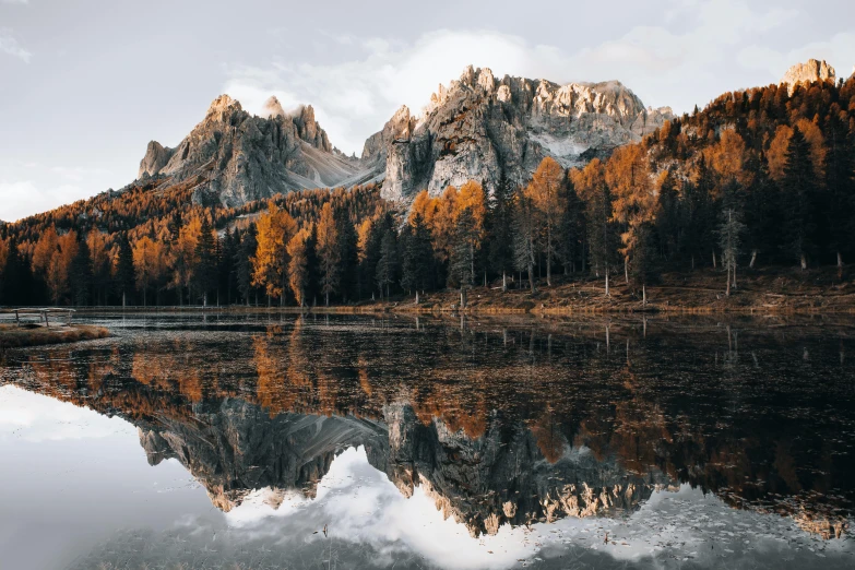 some trees with yellow leaves and a mountain range