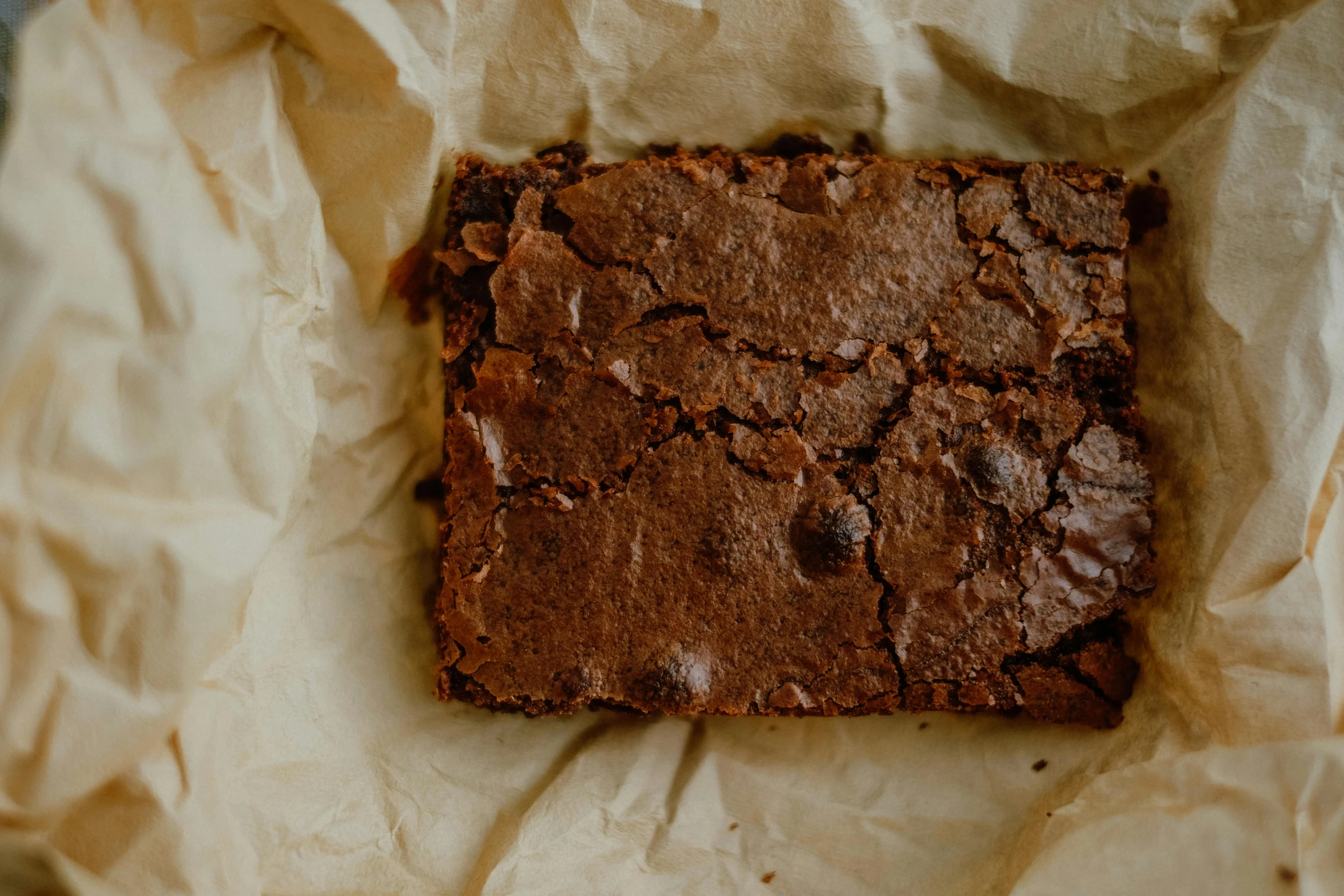 a brownie sitting on top of paper on the ground