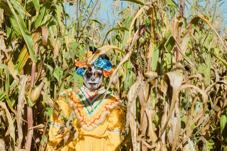 two men in costume standing in a cornfield