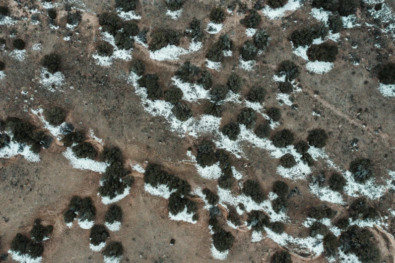 the bottom view of a snow covered ground