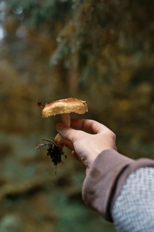 a person holding out a partially eaten sandwich with a bug on it