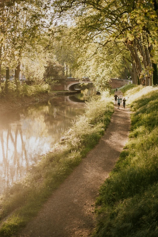 people walking down a path in the park