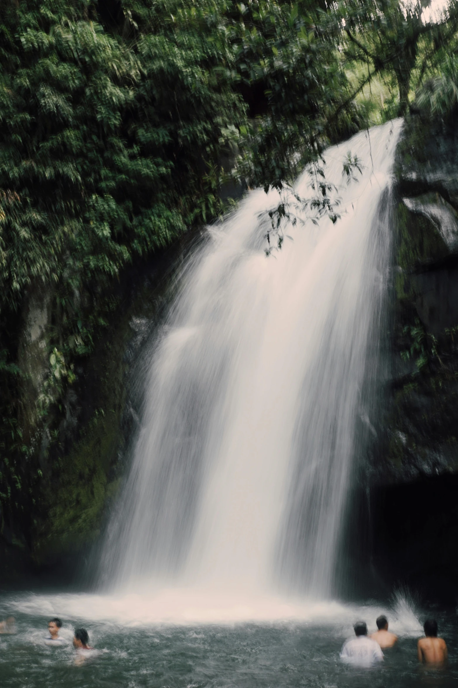 group of people swimming in water at edge of waterfall