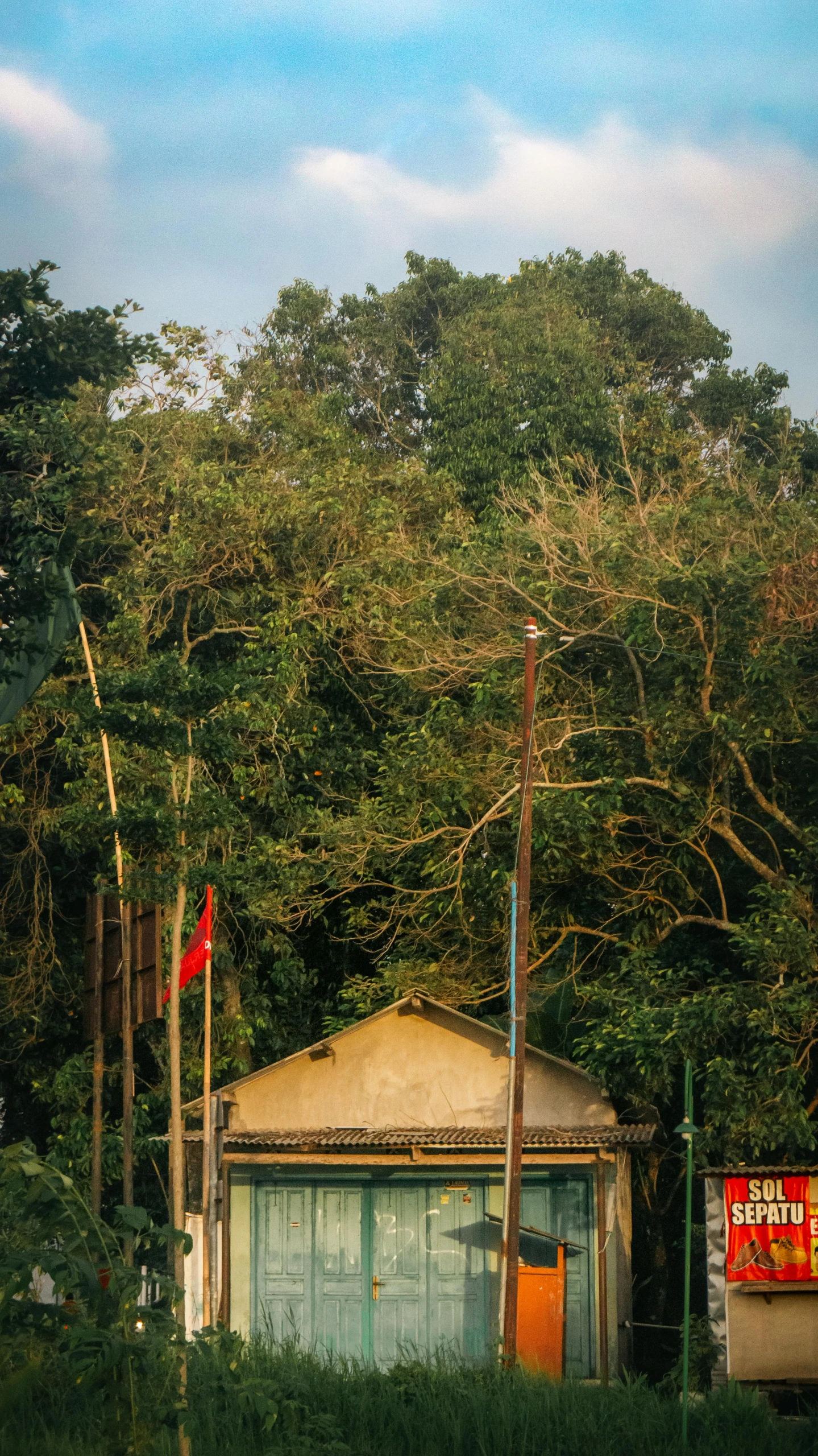 a shack in a field with many trees surrounding it