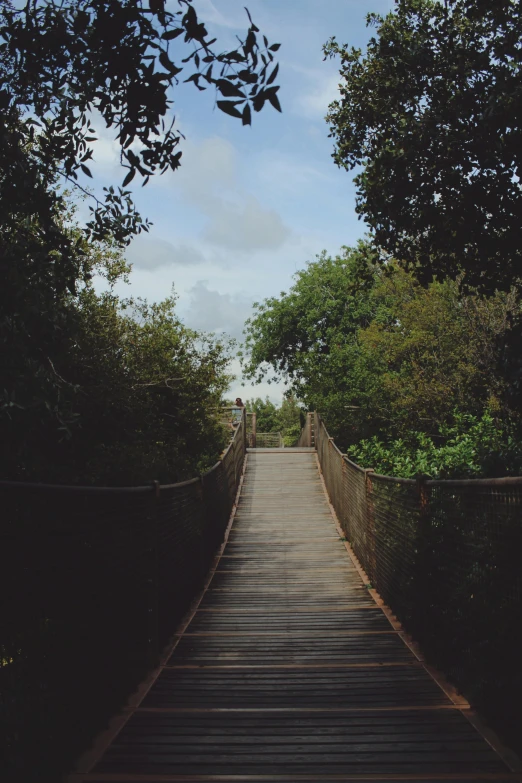 a wooden bridge that is over a forest