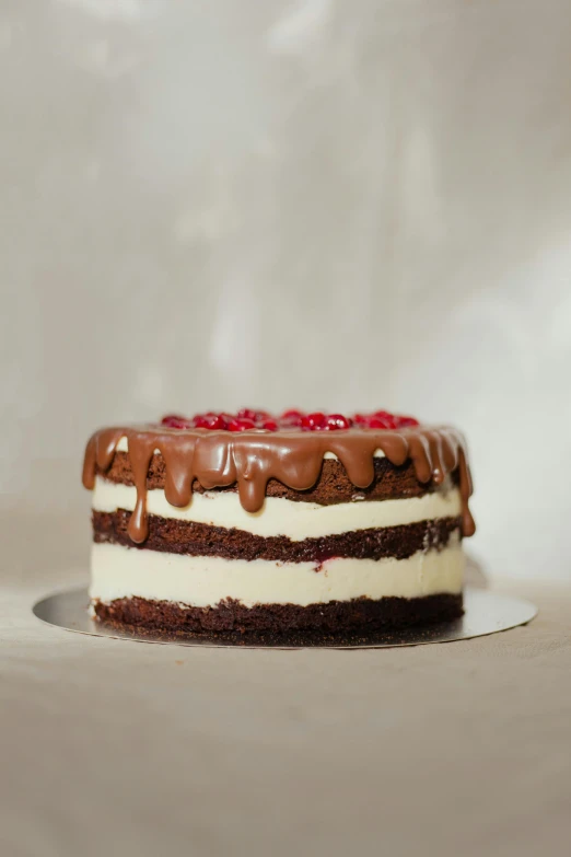 a delicious decorated cake with icing and fruit