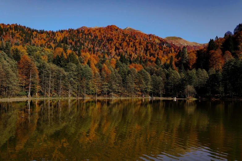 a lake and forest covered in orange and green foliage