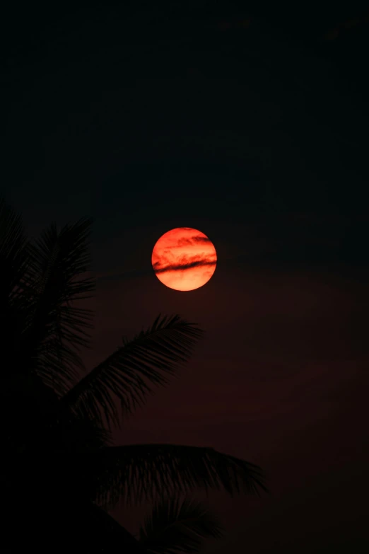 the full moon is visible with dark colors in the sky