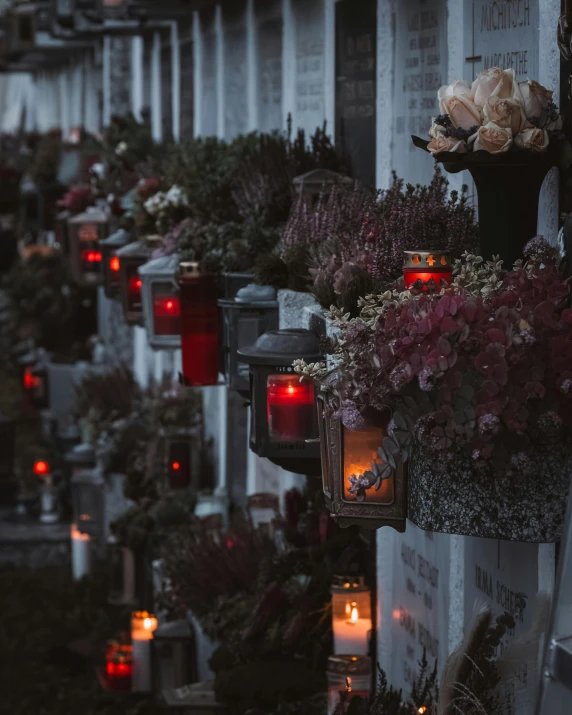 some pretty flowers and lanterns hanging from a wall