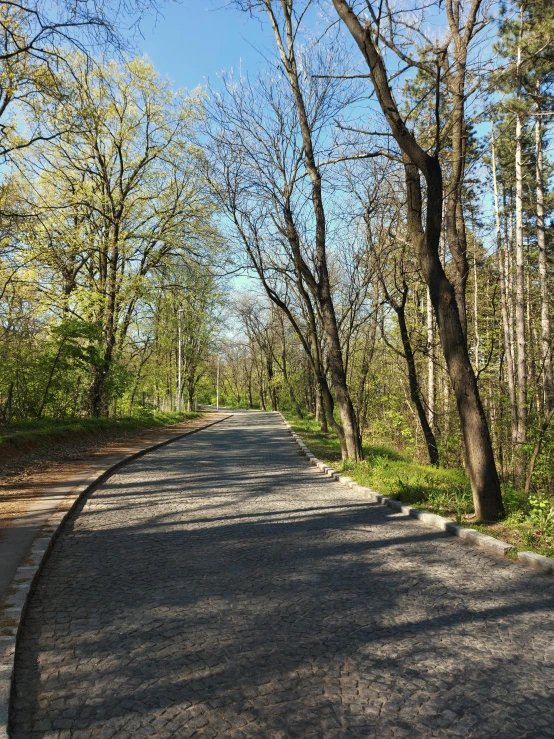 the stop sign on the empty road has no cars in it