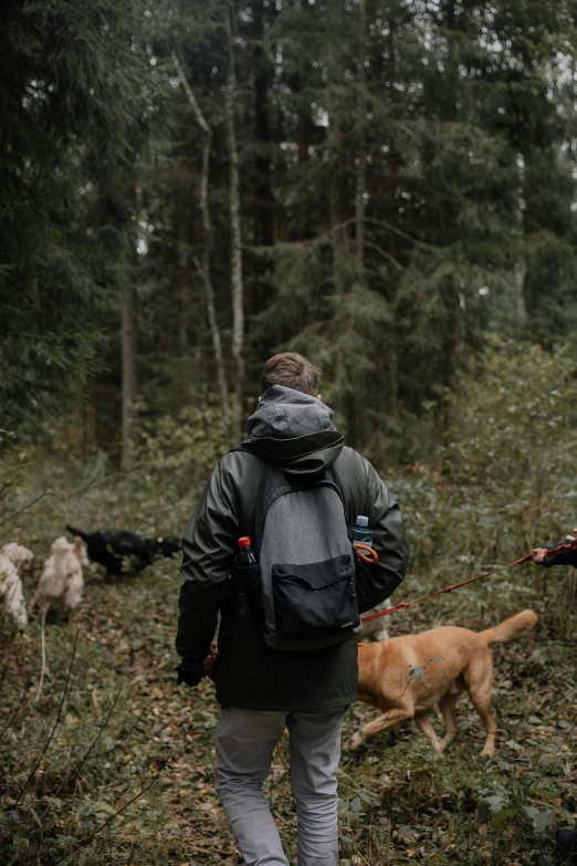 a man walking through a forest with a dog