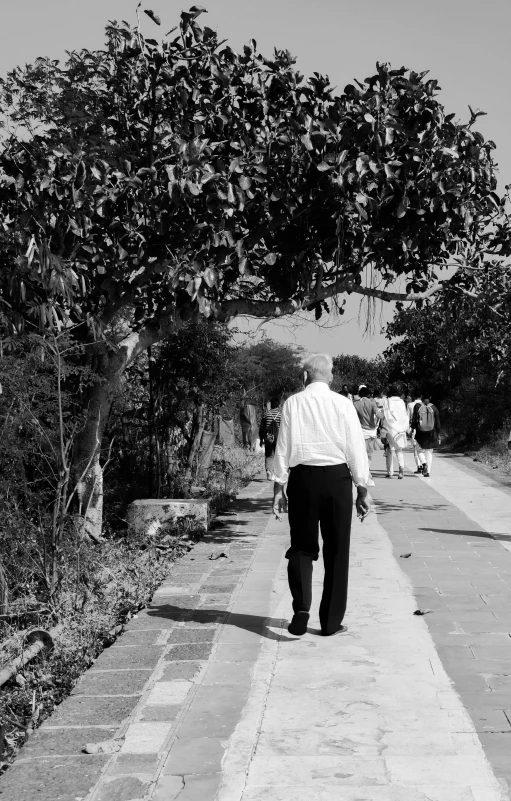 the man walks down the road under a tree