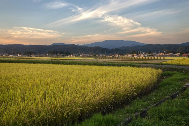 a large field full of green grass next to a town