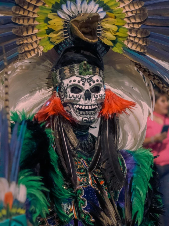 an elaborate costume with feathers, skeleton, headpiece and face makeup