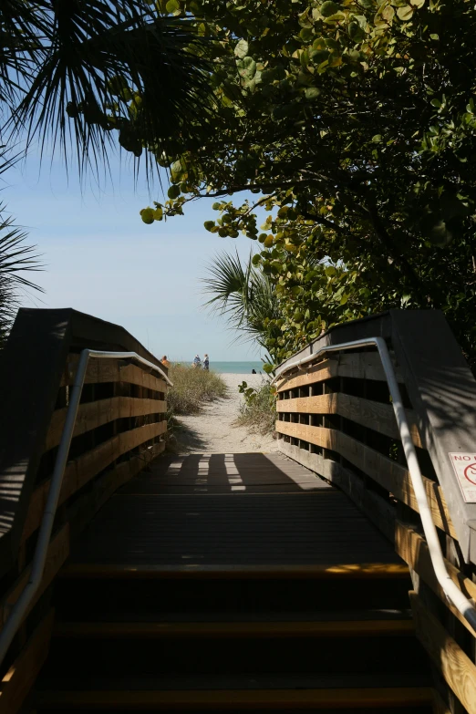 some stairs down to the beach and some trees